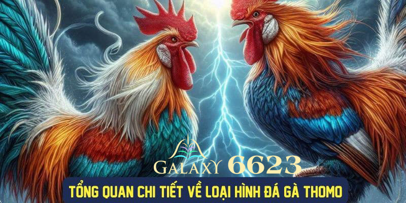 Bí quyết chốt kèo đỉnh cao trong Đá Gà 6623